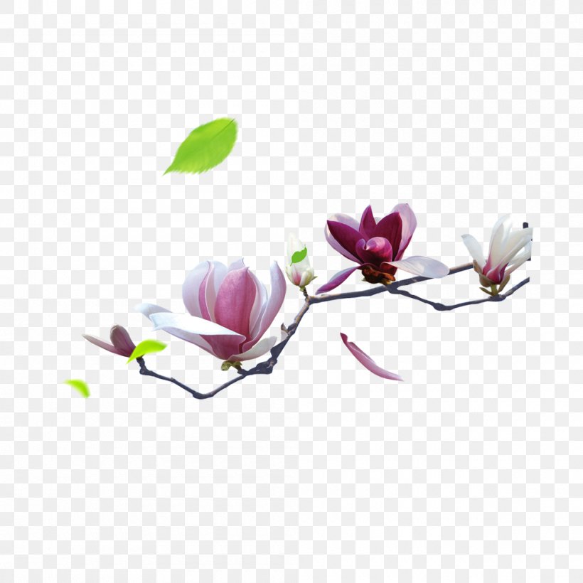 Lichun Solar Term Spring Chinese New Year, PNG, 1000x1000px, Lichun, Blossom, Branch, Chinese Calendar, Chinese New Year Download Free
