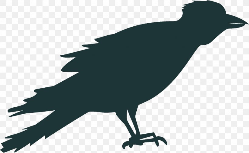 Raven Halloween Crow, PNG, 1024x632px, Raven, American Crow, Beak, Bird, Crow Download Free