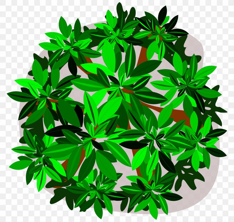 Tree Leaf Clip Art, PNG, 2400x2285px, Tree, Evergreen, Herb, Leaf, Plant Download Free