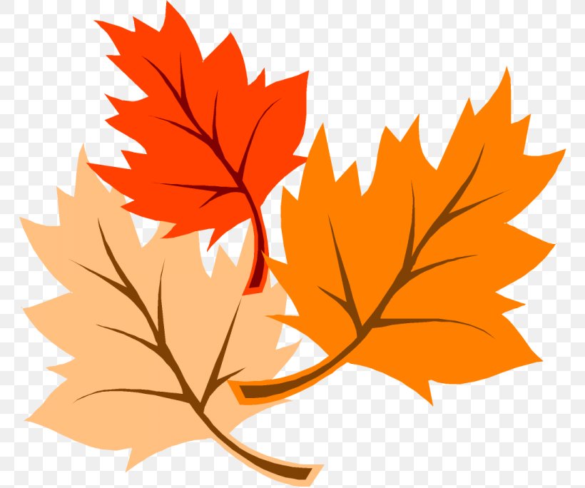 Autumn Leaf Color Thanksgiving Clip Art, PNG, 768x684px, Autumn Leaf Color, Autumn, Branch, Flowering Plant, Green Download Free