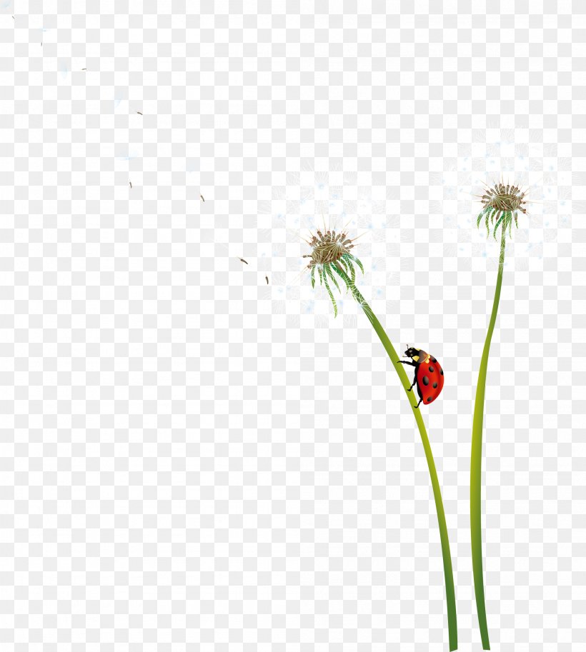 Dandelion Icon, PNG, 2001x2228px, Dandelion, Computer, Flooring, Flower, Grass Download Free