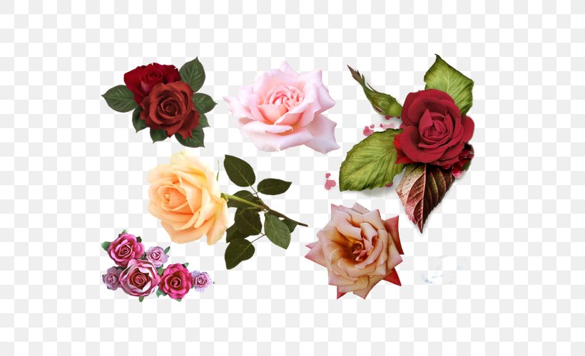 Garden Roses Centifolia Roses Rosa Chinensis, PNG, 600x500px, Garden Roses, Artificial Flower, Centifolia Roses, Cut Flowers, Deviantart Download Free