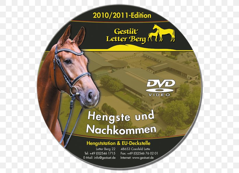 Stallion Horse Tack Snout Brand, PNG, 600x596px, Stallion, Avtoradio, Brand, Grass, Horse Download Free
