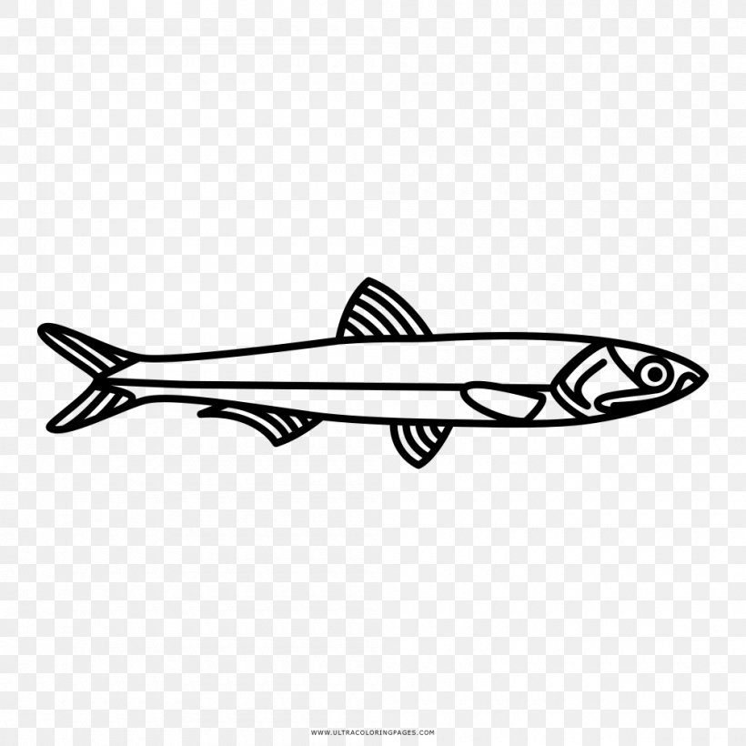 European Anchovy Fish Drawing Japanese Anchovy, PNG, 1000x1000px, Anchovy, Aerospace Engineering, Aircraft, Airplane, Ansjosfamilien Download Free