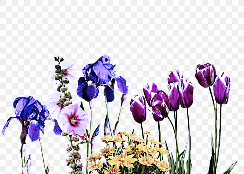 Floral Design, PNG, 960x687px, Tulip, Artificial Flower, Cut Flowers, Floral Design, Flower Download Free