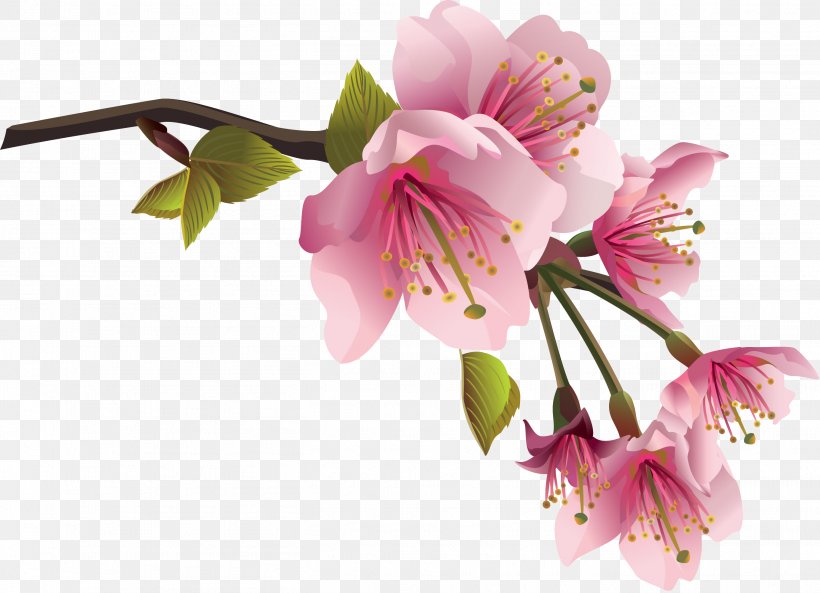 Flower Spring Branch Clip Art, PNG, 2709x1960px, Flower, Alstroemeriaceae, Blossom, Branch, Cherry Blossom Download Free