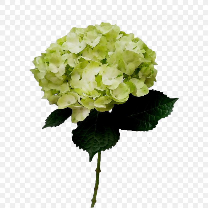 Hydrangea Cut Flowers Artificial Flower Annual Plant, PNG, 2664x2664px, Hydrangea, Annual Plant, Artificial Flower, Bouquet, Cornales Download Free