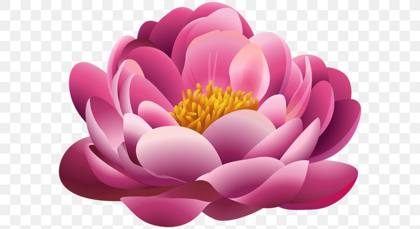Pink Flowers Clip Art, PNG, 600x447px, Flower, Art, Dahlia, Digital Scrapbooking, Document Download Free