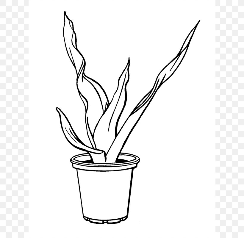 Twig Flowerpot Plant Stem Clip Art, PNG, 800x800px, Twig, Artwork, Black And White, Branch, Cup Download Free