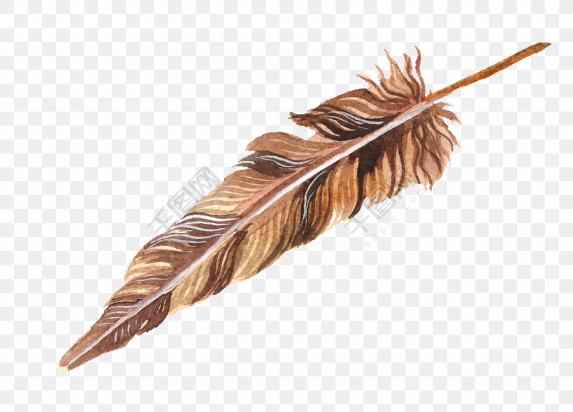 Clip Art Feather Drawing Painting, PNG, 1024x739px, Feather, Animation, Brown, Drawing, Fashion Accessory Download Free