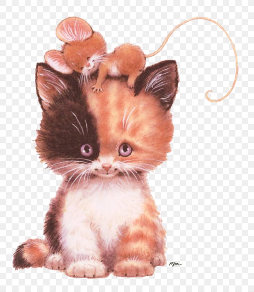 Kitten Computer Mouse Persian Cat Cat And Mouse, PNG, 800x941px, Kitten, Animal, Calico Cat, Carnivoran, Cat Download Free