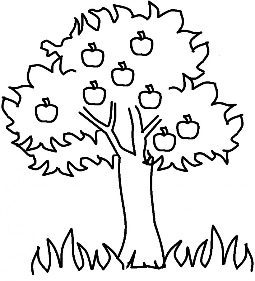 Apple Tree Drawing Clip Art, PNG, 916x1008px, Watercolor, Cartoon, Flower, Frame, Heart Download Free