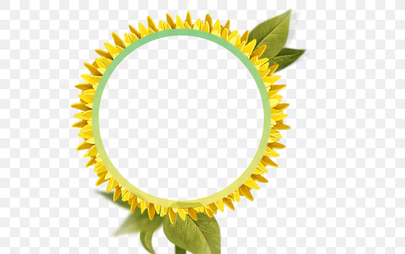 Common Sunflower Picture Frame High-definition Television, PNG, 650x514px, Common Sunflower, Film Frame, Grass, Highdefinition Television, Leaf Download Free