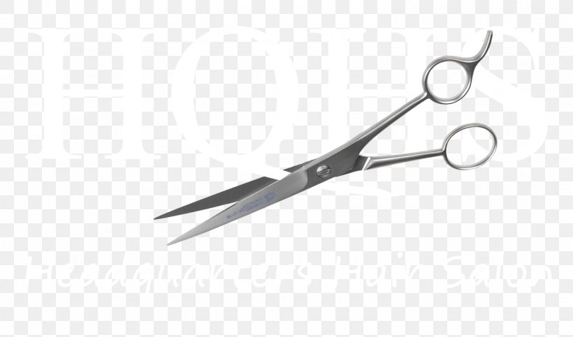 Beauty Parlour Nipper Cosmetologist Scissors Fashion Designer, PNG, 1500x885px, Beauty Parlour, Beauty, Cosmetologist, Customer, Fashion Designer Download Free