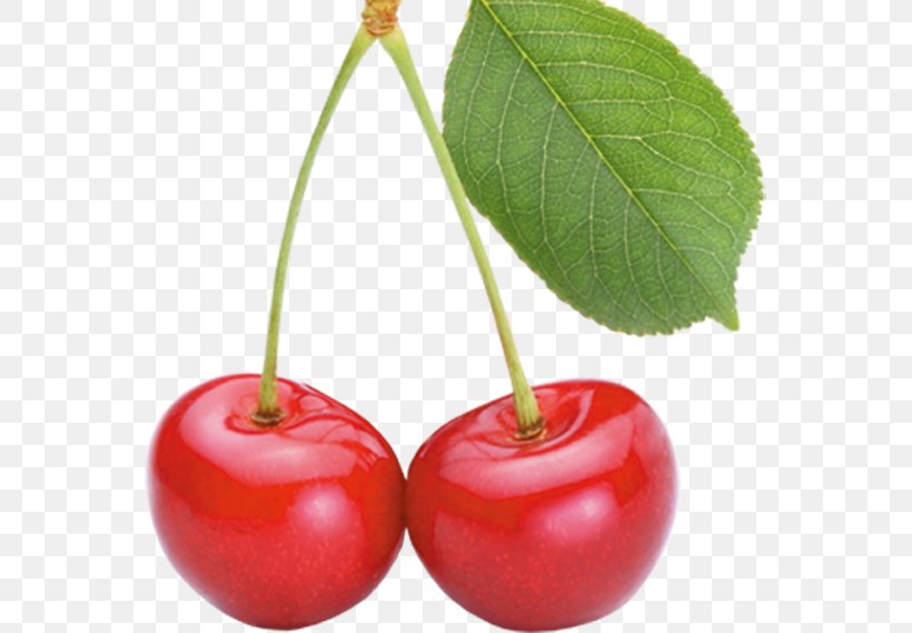 Berry Cherry Fruit Food, PNG, 559x569px, Berry, Acerola, Acerola Family, Auglis, Barbados Cherry Download Free