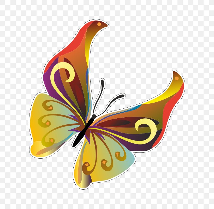 Butterfly Vector Graphics Clip Art Image, PNG, 800x800px, Butterfly, Brushfooted Butterfly, Insect, Invertebrate, Limenitis Arthemis Download Free