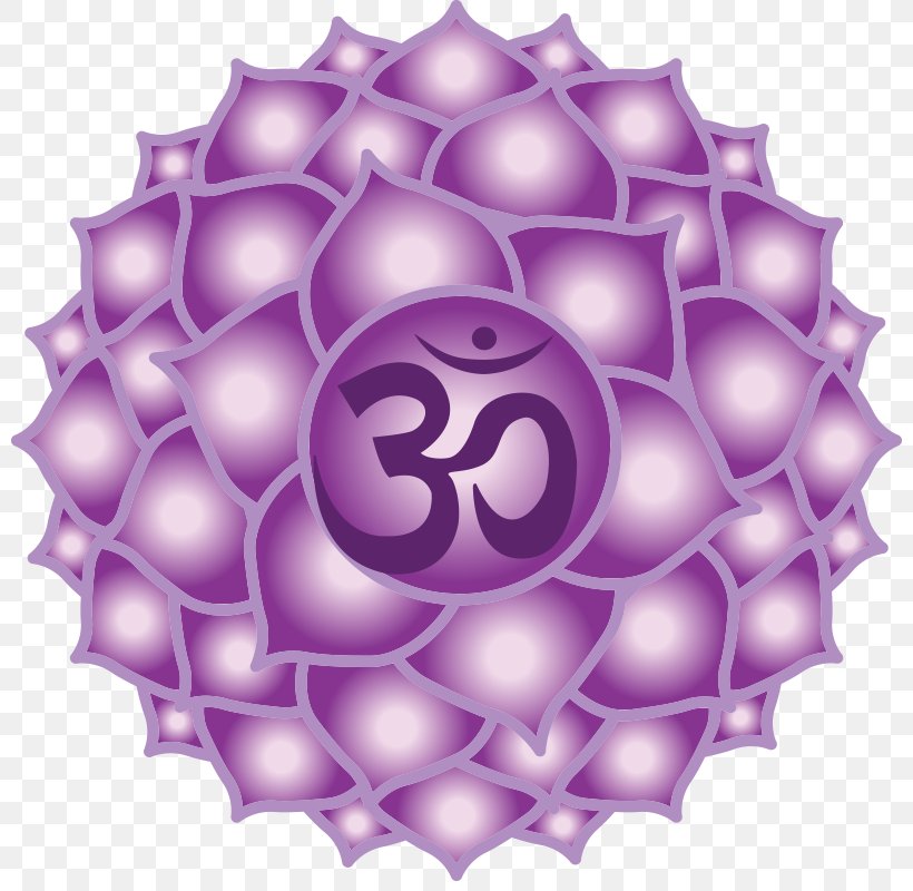 Chakra Sahasrara Vishuddha Muladhara Third Eye, PNG, 800x800px, Chakra, Ajna, Anahata, Celiac Plexus, Crystal Healing Download Free