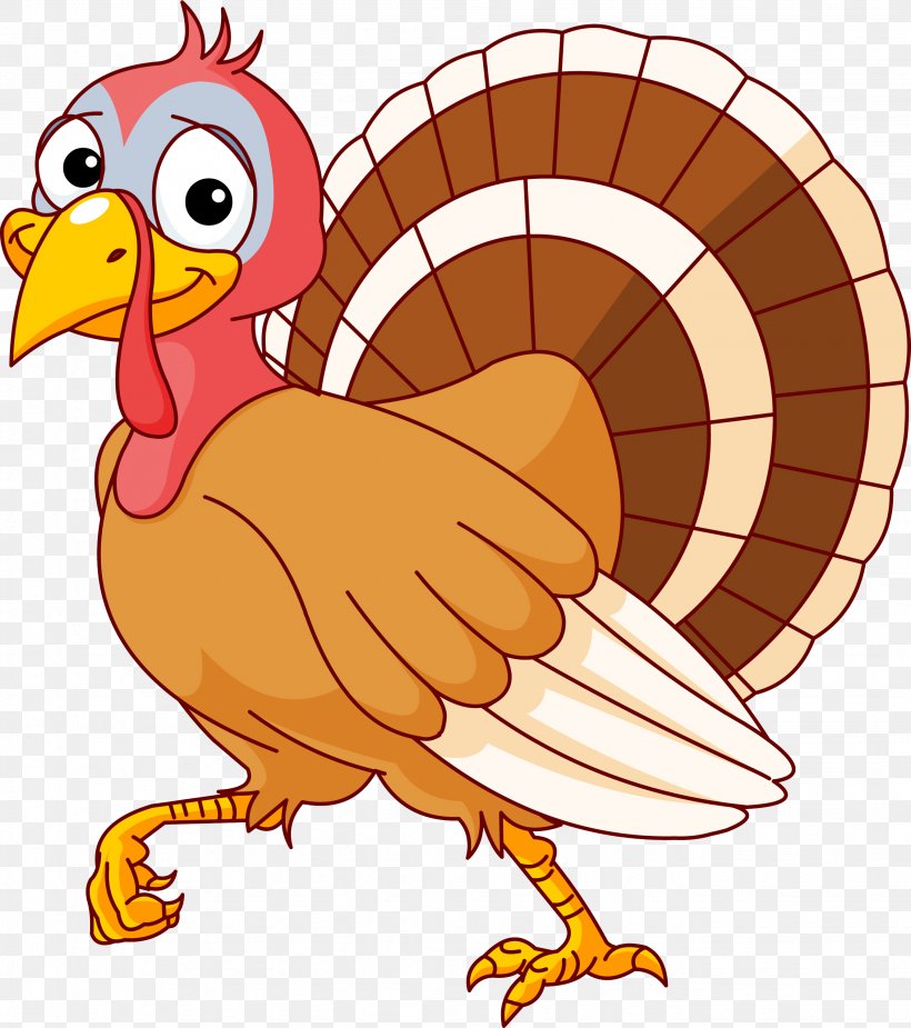 Download Turkey Meat Thanksgiving Clip Art, PNG, 2658x3000px, Turkey Meat, Artwork, Beak, Bird, Chicken Download Free