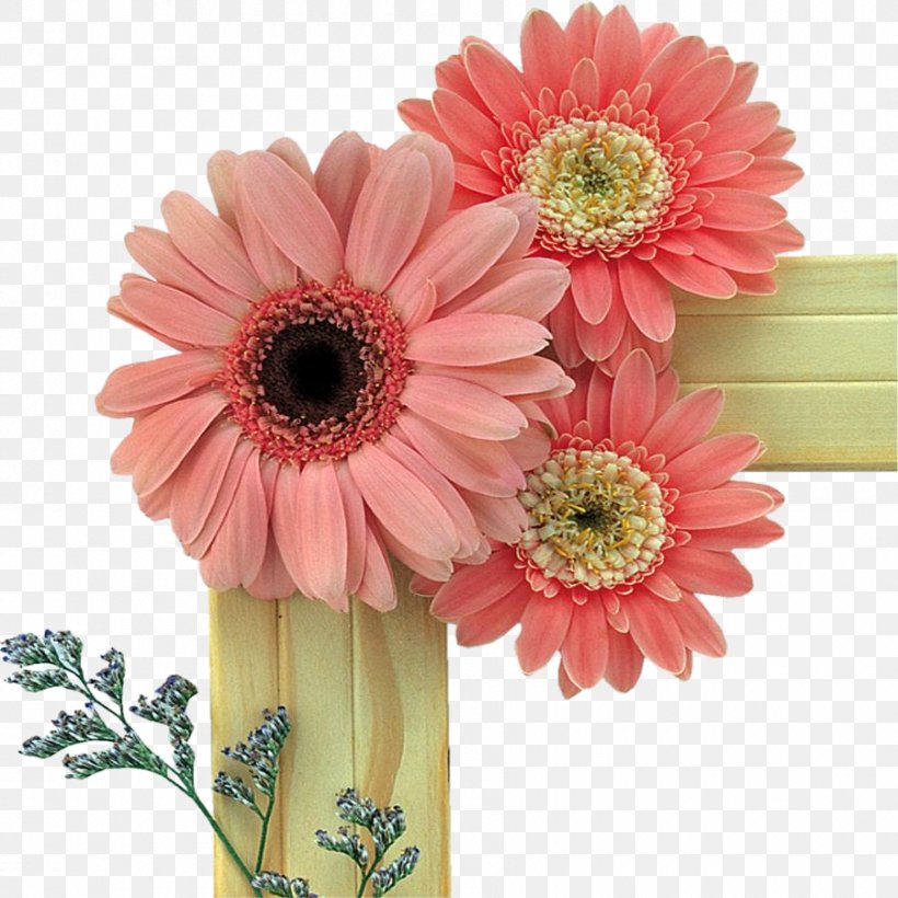 Friendship Day Love Wish, PNG, 900x900px, Friendship Day, Artificial Flower, Cut Flowers, Daisy Family, Floral Design Download Free
