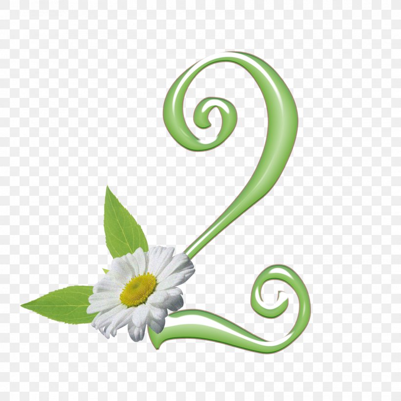 Green Leaf Background, PNG, 1600x1600px, 2019, Petal, Alphabet, Botany, Flower Download Free