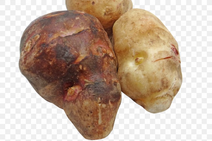 Jerusalem Artichoke Vegetable Food Inulin, PNG, 900x600px, Jerusalem Artichoke, Artichoke, Disease, Food, Gastrointestinal Tract Download Free