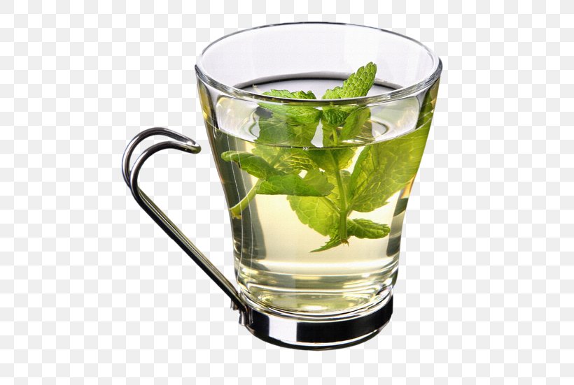 Green Tea Leaf, PNG, 500x551px, Tea, Black Tea, Caipirinha, Chamomile, Cocktail Download Free