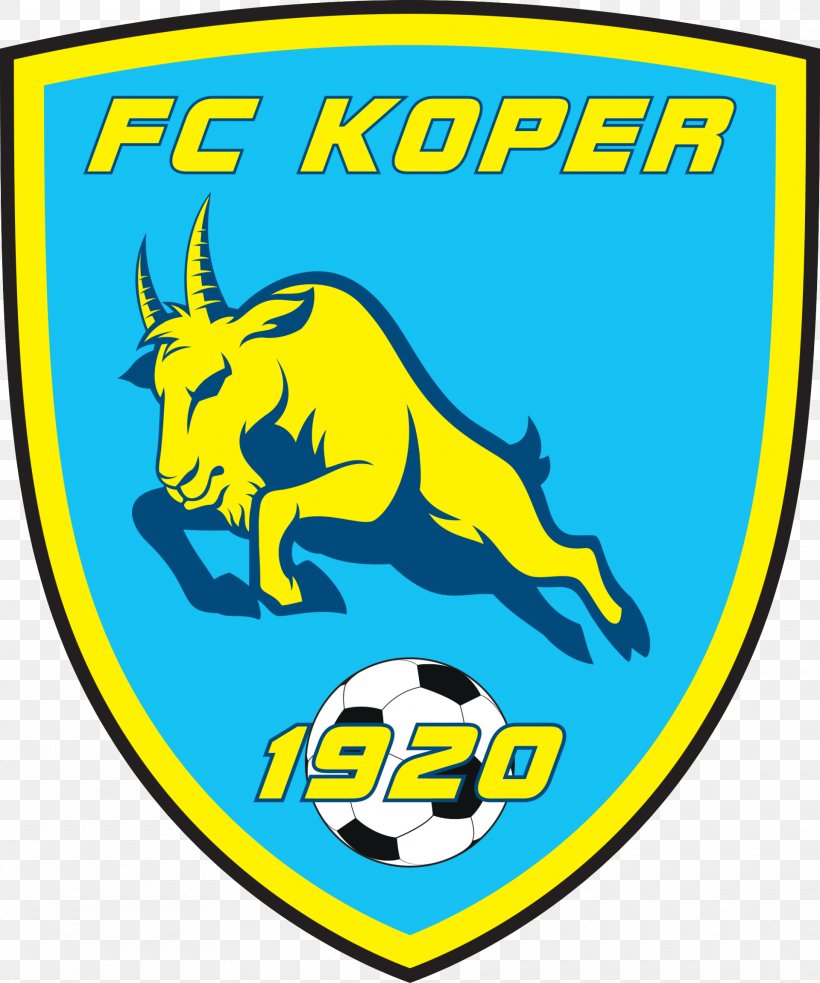 FC Koper FC Shakhter Karagandy Association Football Manager Football Team, PNG, 1920x2303px, Association Football Manager, Area, Brand, Football, Football Team Download Free