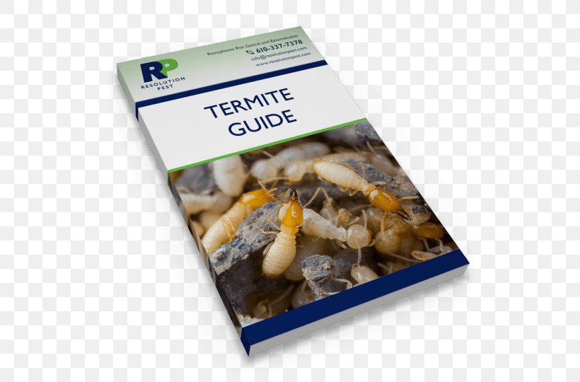 Termite Pest Swarming Recipe How-to, PNG, 540x540px, Termite, Animal Source Foods, Billions, Dish, Food Download Free