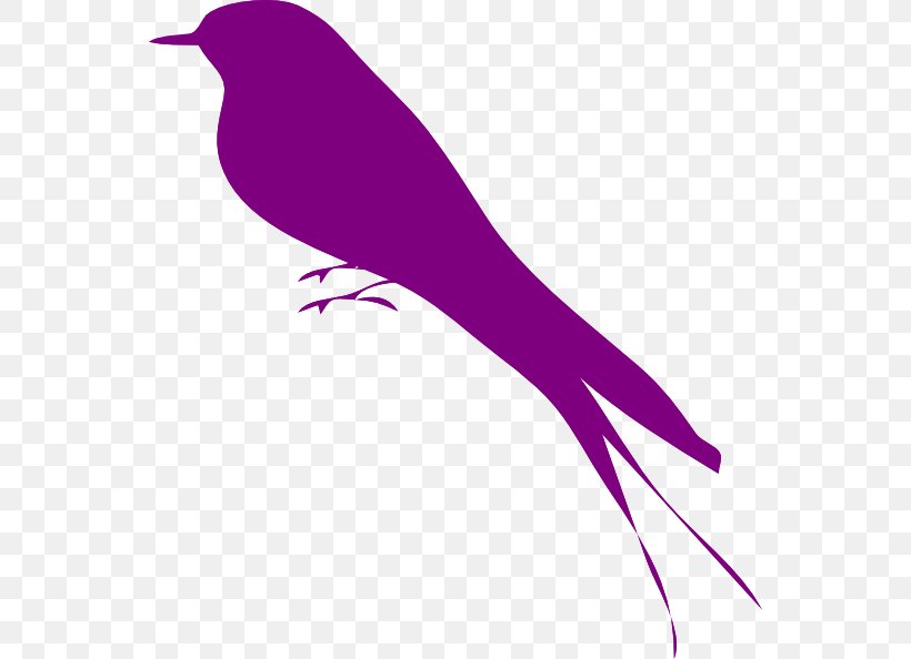 Bird Purple Violet Clip Art, PNG, 552x594px, Bird, Beak, Blue, Branch, Color Download Free