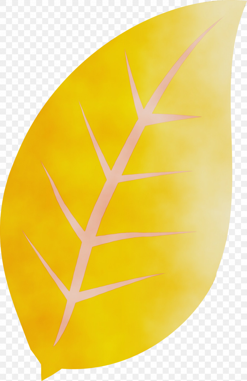 Leaf Commodity Yellow Plants Biology, PNG, 1946x3000px, Watercolor, Biology, Commodity, Leaf, Paint Download Free