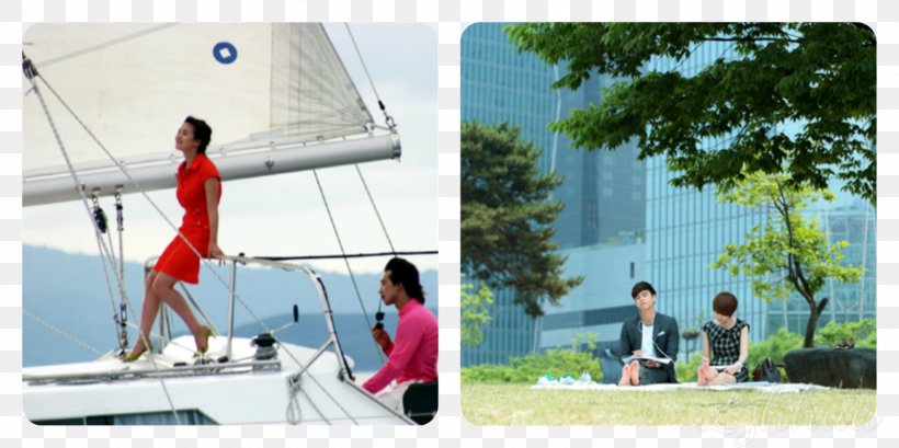 Sailing Leisure Hobby Scow, PNG, 1600x800px, Sail, Advertising, Boat, Brand, Full House Download Free