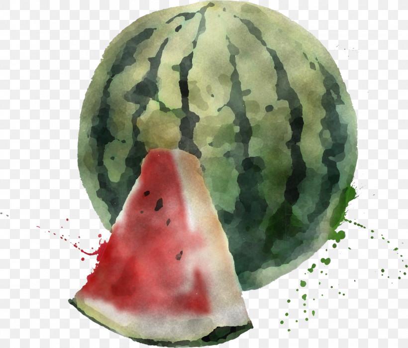 Watermelon M Watermelon M, PNG, 1466x1250px, Watermelon M Download Free