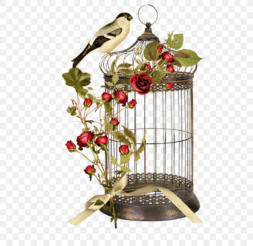 Birdcage Flower, PNG, 505x800px, Bird, Birdcage, Branch, Cage, Christmas Ornament Download Free