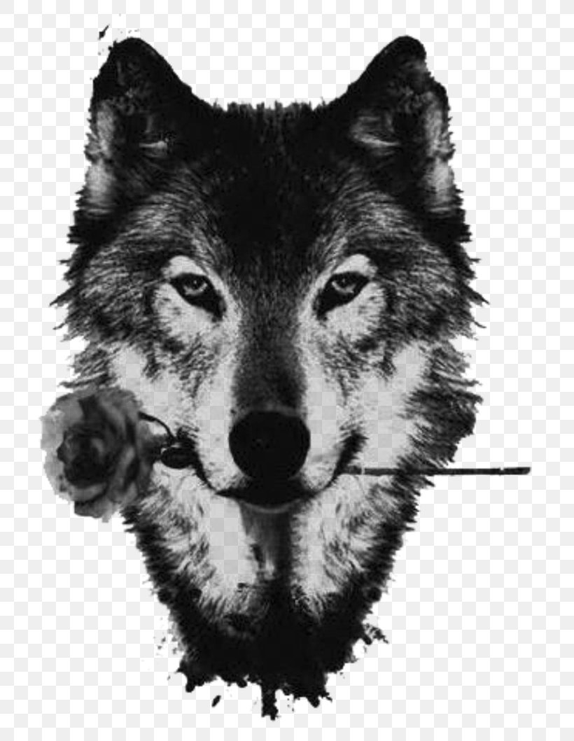 Black Wolf American Pit Bull Terrier Red Wolf Drawing The Wolf And The Fox, PNG, 755x1059px, Black Wolf, American Pit Bull Terrier, Animal, Arctic Wolf, Black And White Download Free