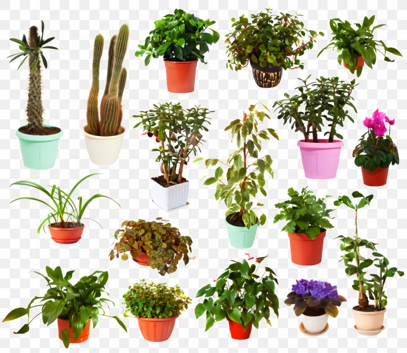 Flowerpot Plant Houseplant Flower Herb, PNG, 2148x1860px, Flowerpot, Flower, Geranium, Grass, Herb Download Free