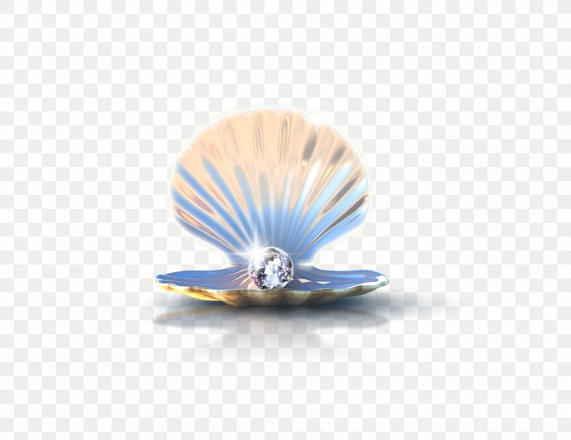 Pearl Icon, PNG, 1000x771px, Pearl, Cobalt Blue, Diamond, Nautilida, Seashell Download Free