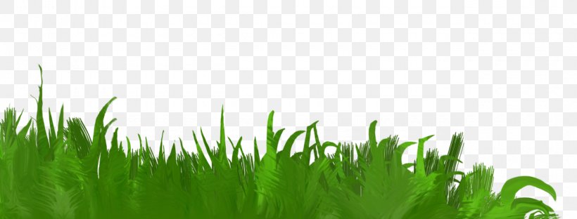 Wheatgrass Honey Blog LiveInternet Desktop Wallpaper, PNG, 1280x488px, 2019, Wheatgrass, Artificial Turf, Blog, Computer Download Free