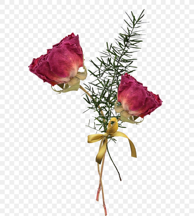 Garden Roses Image Cabbage Rose Floral Design, PNG, 600x912px, Garden Roses, Artificial Flower, Botany, Bouquet, Branch Download Free