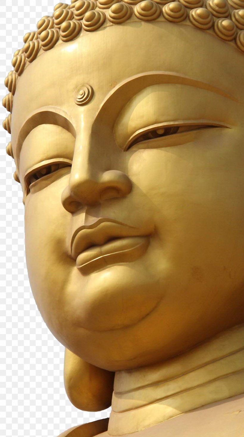 Gautama Buddha Buddhahood Buddharupa Android Buddhism, PNG, 1209x2160px, Gautama Buddha, Android, Android Application Package, Aptoide, Bodhisattva Download Free
