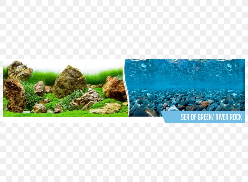 Sea Of Thieves Plastic Aquarium Ecosystem Polyvinyl Chloride, PNG, 800x600px, Sea Of Thieves, Aquarium, Basket, Com, Ecosystem Download Free