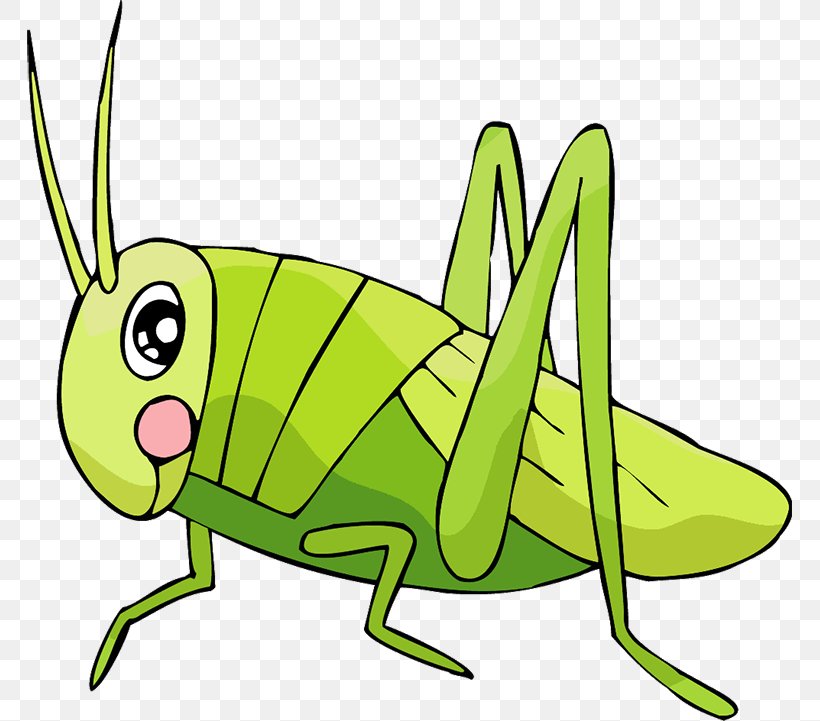 Grasshopper Insect Locust Cartoon Clip Art, PNG, 765x721px, Grasshopper, Animal, Artwork, Caelifera, Cartoon Download Free