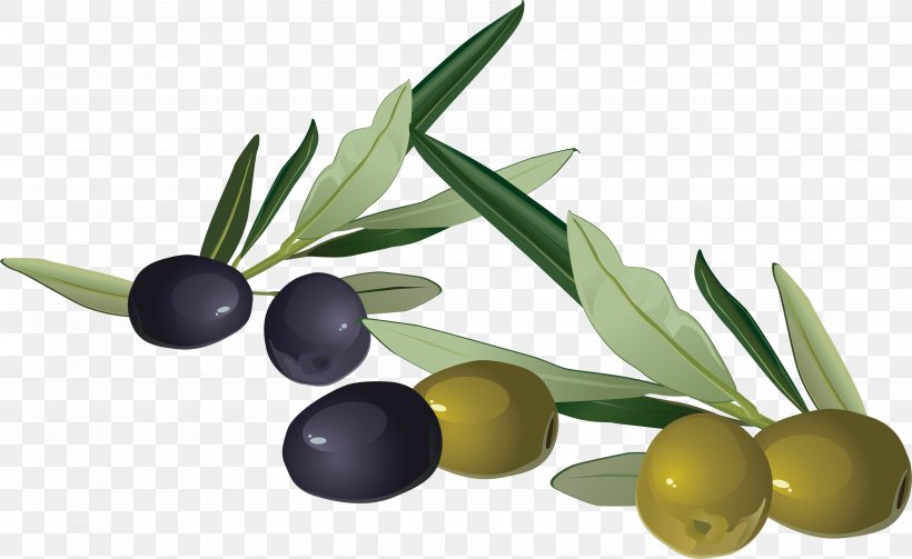 Olive Stock Photography Clip Art, PNG, 3506x2152px, Olive, Food, Fruit, Ingredient, Olive Leaf Download Free