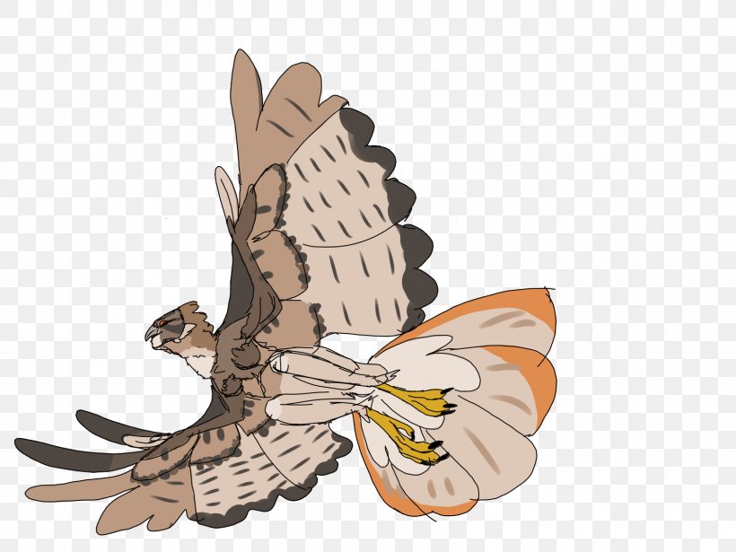 Owl Wing Insect Cartoon, PNG, 1600x1200px, Owl, Bird, Bird Of Prey, Butterfly, Cartoon Download Free