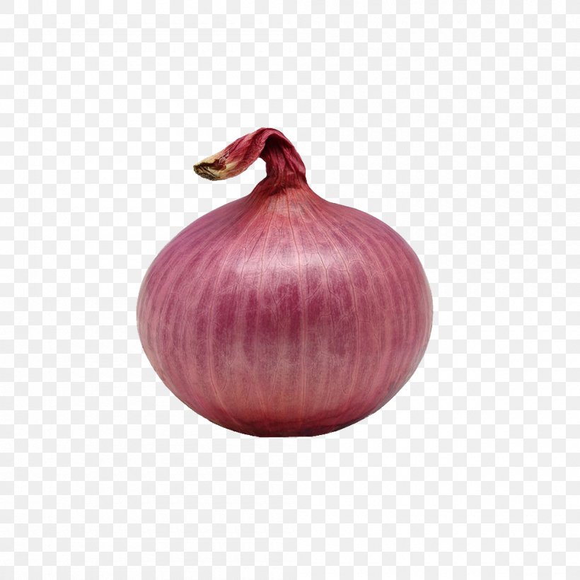 Red Onion Onion Ring Shallot, PNG, 1000x1000px, Red Onion, Food, Fruit, Garlic, Onion Download Free