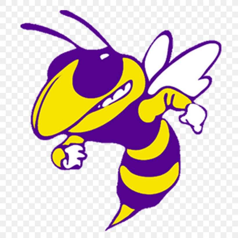 Yellowjacket Osbourn Park High School Georgia Tech Yellow Jackets Varsity Team, PNG, 1024x1024px, Yellowjacket, Art, Artwork, Butterfly, Cartoon Download Free