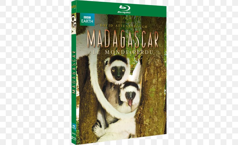 Blu-ray Disc Madagascar DVD Compact Disc Film, PNG, 500x500px, Bluray Disc, Animated Film, Compact Disc, Drawing, Dvd Download Free