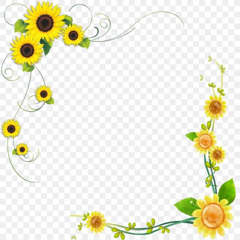 Common Sunflower Floral Design, PNG, 1071x1073px, Common Sunflower, Border, Cut Flowers, Dahlia, Daisy Download Free