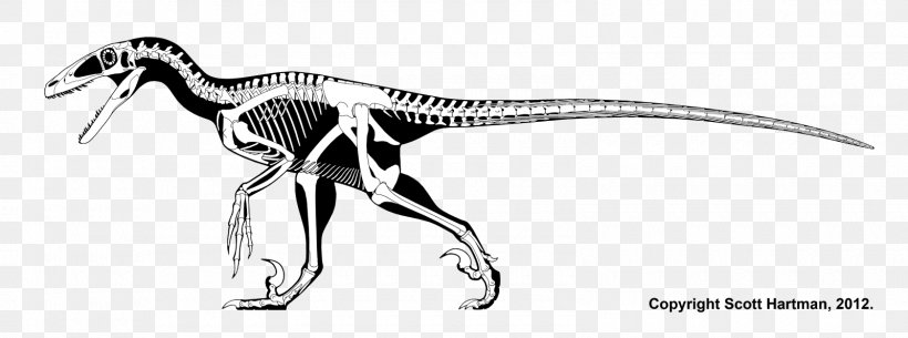 Deinonychus Velociraptor Cryolophosaurus Dinosaur Renaissance Parksosaurus, PNG, 1600x596px, Deinonychus, Allosaurus, Art, Black And White, Cryolophosaurus Download Free