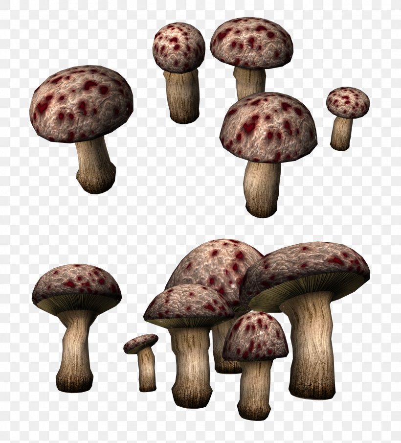 Mushroom Fungus Clip Art, PNG, 1901x2099px, Mushroom, Agaricus, Food, Fungus, Ingredient Download Free