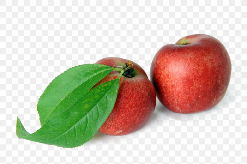 Peach Melba Fruit, PNG, 1024x681px, Peach Melba, Apple, Diet Food, Food, Fruit Download Free